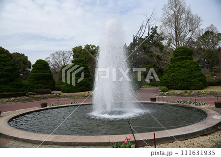 春の京都植物園 噴水 春の京都植物園 噴水 111631935