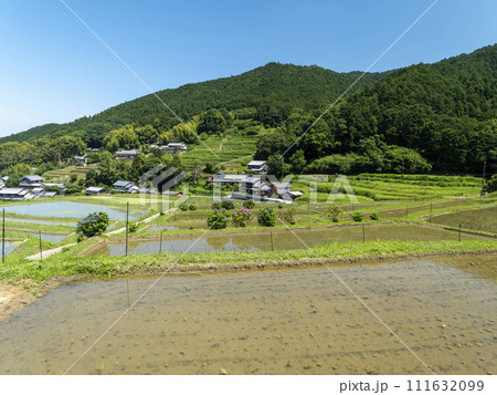水田が広がる明日香村の棚田 水田が広がる明日香村の棚田 111632099
