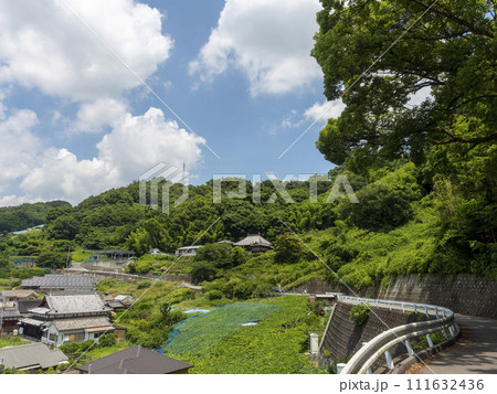 葡萄畑が広がる柏原市の高尾山 111632436