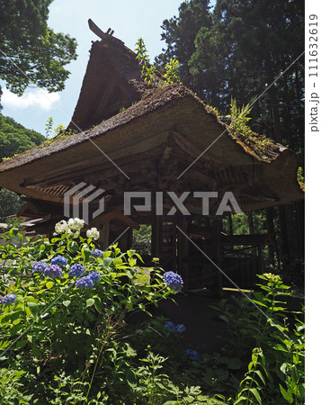 初夏の福島県の観音寺山門。青と白の紫陽花とのコラボレーションが青空に印象的で綺麗だ。 初夏の福島県の観音寺山門。青と白の紫陽花とのコラボレーションが青空に印象的で綺麗だ。 111632619