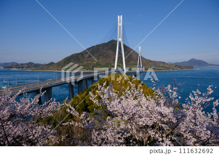 愛媛県 桜越しに見えるしまなみ海道 愛媛県 桜越しに見えるしまなみ海道 111632692