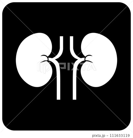 Kidney icon for hospitals or medical use 111633119