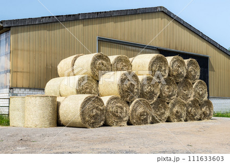 Bales of hay lie near the barn 111633603