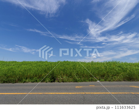 堤防の道路と青空の風景 111633625
