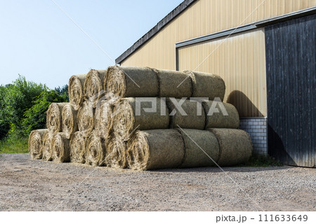 Bales of hay lie near the barn 111633649