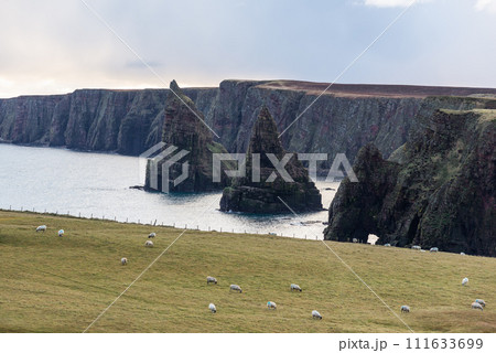 Stacks of Duncansby, some of the most impressive in the British Isles 111633699
