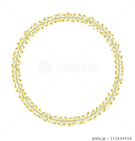 Yellow mimosa flowers round wreath frame. Watercolor background border with hand drawn flower illustration isolated on white for card design, print, web banner, holiday decor. Acacia dealbata, silver 111634318