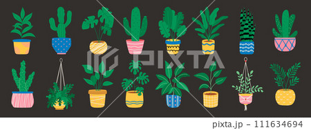 Plants in hanging pots. Home flower pots set. 111634694