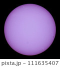 自転の影響で隠れそうな小さな太陽黒点群 111635407