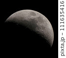 晩秋の夜空に浮かぶ上弦の月 111635416