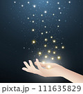 stars falling in hand 111635829