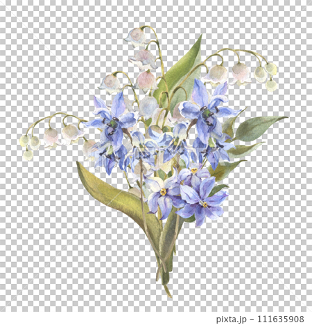 Watercolor Spring flowers bouquet. Blue Scilla flowers, lily isolated on white background. Forest flowers liverwort, scilla, coppice. Illustration of delicate lilac flowers. 111635908