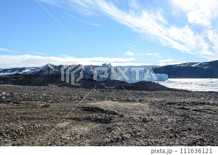 Arctic landscape Arctic landscape 111636121