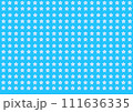星のテクスチャー 111636335