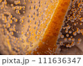 炭酸水のグラスに入ったオレンジ 111636347