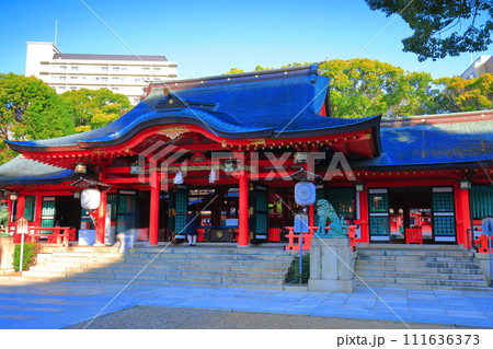 【兵庫県】快晴の生田神社の本殿（拝殿） 111636373