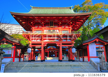 【兵庫県】快晴の生田神社の楼門 111636379