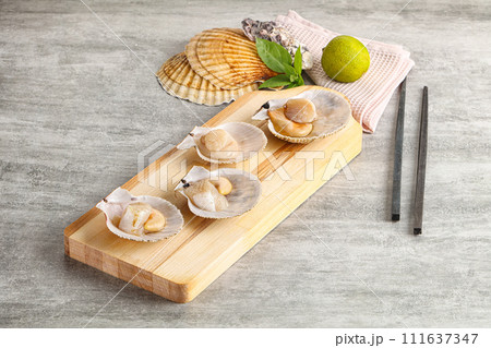 Raw natural scallop in its shell 111637347