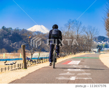 富士山を望む多摩川サイクリングロード 富士山を望む多摩川サイクリングロード 111637376