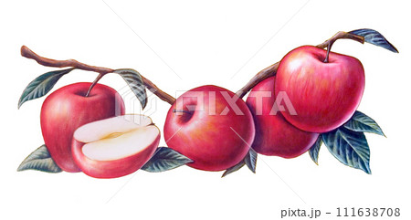 Red apples 111638708