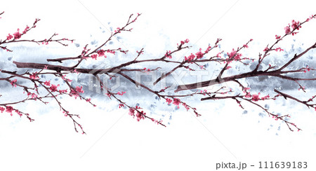Watercolor hand drawn early spring blossoms of trees, sakura, cherry, apricot flowers. Seamless pattern, border on watercolor grey splashes. First buds, leaves. Botanical clipart Isolated illustration Watercolor hand drawn early spring blossoms of trees, sakura, cherry, apricot flowers. Seamless pattern, border on watercolor grey splashes. First buds, leaves. Botanical clipart Isolated illustration 111639183