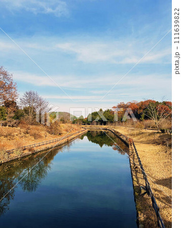 公園の川に反射する木々と空模様 111639822