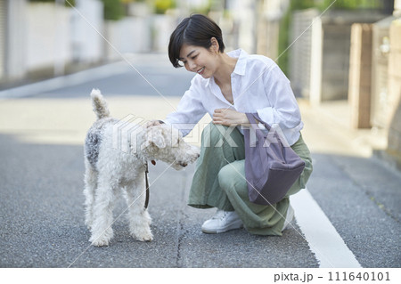 ワイヤーフォックステリアと住宅街を散歩する若い女性 111640101