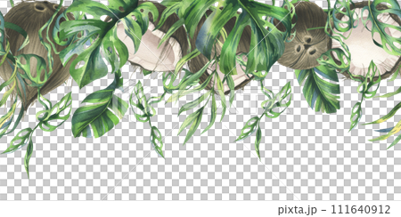Coconuts whole, halves and pieces with bright, green, tropical palm leaves. Hand drawn watercolor illustration. Seamless border isolated from the background 111640912