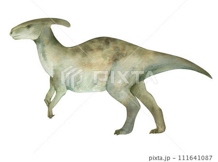 Watercolor illustration of a dinosaur parasaurolophus, watercolor texture, handmade, isolated. For children's room decor, poster, invitation Watercolor illustration of a dinosaur parasaurolophus, watercolor texture, handmade, isolated. For children's room decor, poster, invitation 111641087