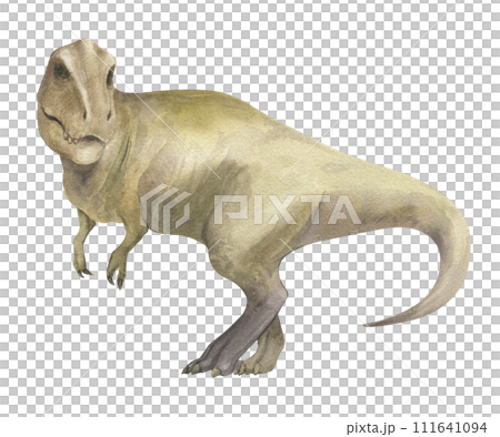Watercolor illustration of a dinosaur Tyrannosaurus rex, watercolor texture, handmade, isolated. For children's room decor, poster, invitation 111641094