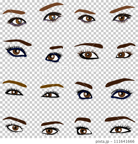 女性の眉目パーツモデルイラスト集03。眉と目とまつ毛周りのイラストのセット。 女性の眉目パーツモデルイラスト集03。眉と目とまつ毛周りのイラストのセット。 111641666