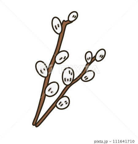 ネコヤナギ 111641710