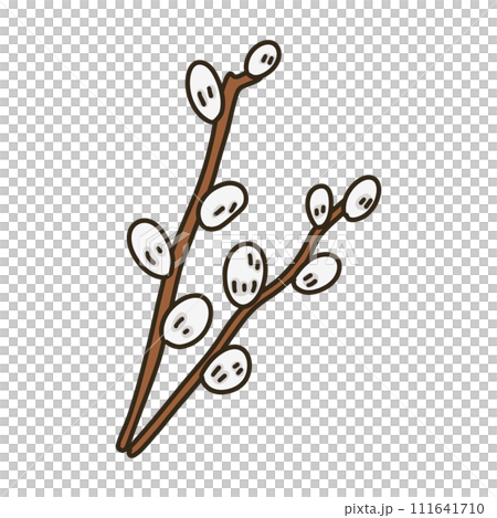 ネコヤナギ 111641710