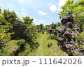 宮古島新庄定吉の庭園パワースポット 111642026