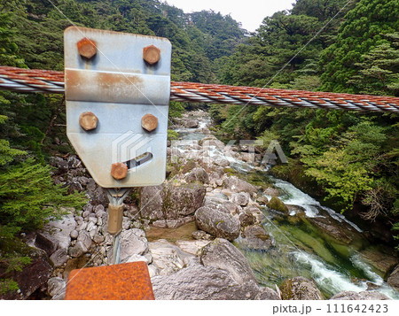 屋久島のヤクスギランドにある太忠岳 屋久島のヤクスギランドにある太忠岳 111642423
