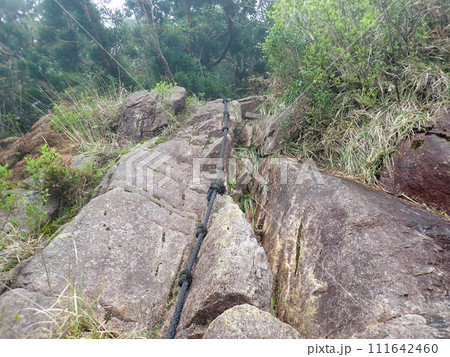 屋久島の愛子岳 111642460