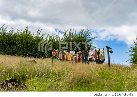 ニュージーランドの洗濯物 111643048