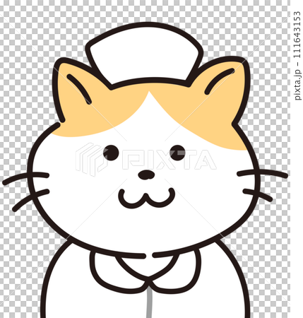 Cat/nurse wearing nurse uniform 111643153