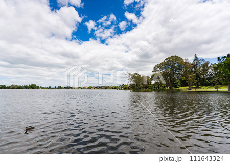 ハミルトンのロトロア湖 ハミルトンのロトロア湖 111643324