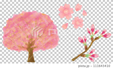 桜の花セット 桜の木 桜の花びら 桜の蕾 111643410