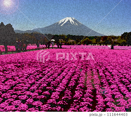 富士と芝桜と陽光と 111644403