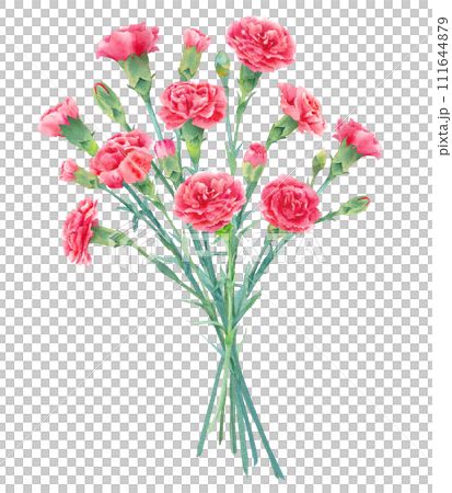 一束紅色康乃馨的水彩插圖。母親節禮物。 111644879