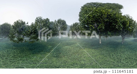 Green meadow forest Scene Captured at Dusk With Lush Trees and Gentle Mist 360 panorama vr environment map Green meadow forest Scene Captured at Dusk With Lush Trees and Gentle Mist 360 panorama vr environment map 111645181