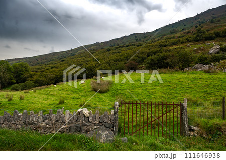 Rural Landscape With Sheep In Snowdonia National Park in North Wales, United Kingdom Rural Landscape With Sheep In Snowdonia National Park in North Wales, United Kingdom 111646938