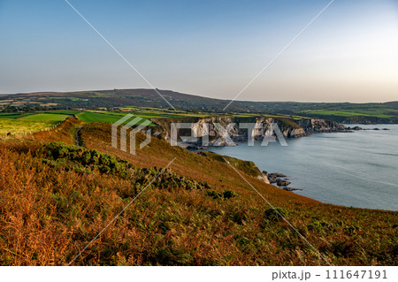 Coastal Path At The Wild Atlantic Coast Of Dinas Head In Pembrokeshire In Wales, United Kingdom Coastal Path At The Wild Atlantic Coast Of Dinas Head In Pembrokeshire In Wales, United Kingdom 111647191