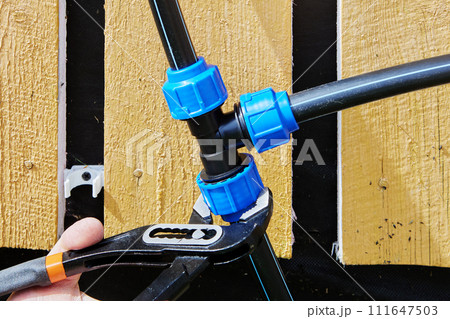 Using water pipe pliers to tighten clamp nut of compression tee fitting when installing outdoor drinking and irrigation water supply from HDPE pipes in rural areas. Using water pipe pliers to tighten clamp nut of compression tee fitting when installing outdoor drinking and irrigation water supply from HDPE pipes in rural areas. 111647503