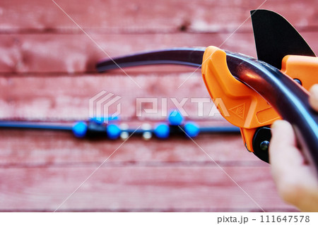 Installation of an external pipeline for irrigation and drinking water, worker cuts HDPE pipe with pipe cutter. Installation of an external pipeline for irrigation and drinking water, worker cuts HDPE pipe with pipe cutter. 111647578