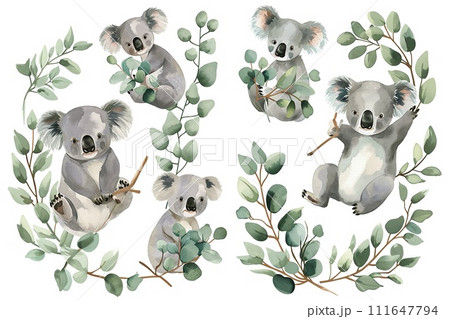 Set of koala, different poses watercolor style, adorable, white background 111647794
