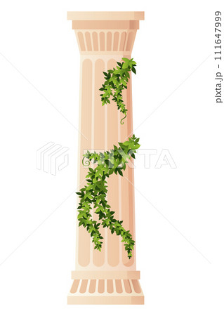 Ancient ivy covered column. Museum and exhibition. Cartoon greek or roman pillar with climbing ivy branches. Antique foliage decorated element. Cartoon flat vector isolated on white 111647999