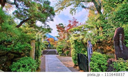 京都 嵐山 天龍寺塔頭 三秀院の庭園 京都 嵐山 天龍寺塔頭 三秀院の庭園 111648837